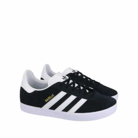 Gazelle J [2]