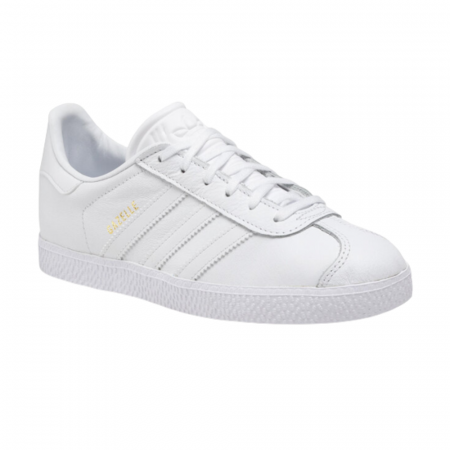 Gazelle J [1]