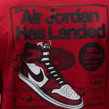JDB AIR JORDAN HAS LANDED SS T 95F279-H15 [3]