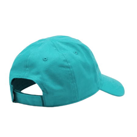 NAN FUTURA CURVE BRIM CAP 8A2902-BA2 [1]