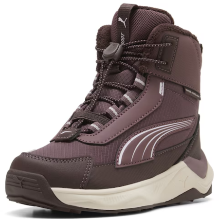 Puma Evolve 2.0 Boot PS Rich Cocoa-Powde 313809-02 [2]