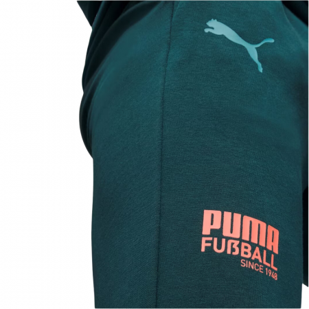 PUMA FUssBALL STREET Pants Varsity Green [1]
