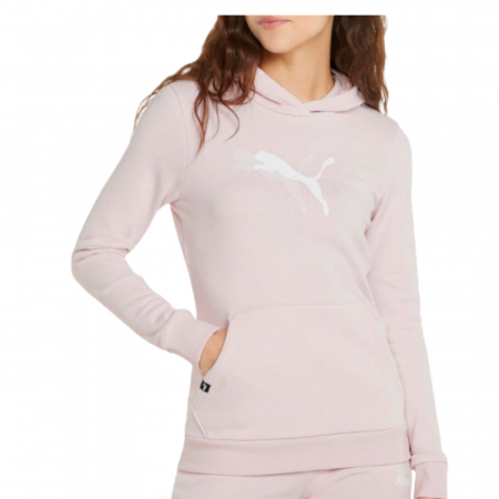 Puma Power Graphic Hoodie TR Chalk Pink [1]