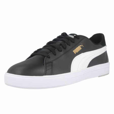 Serve Pro Lite [1]