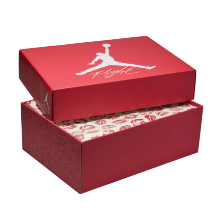 AIR JORDAN 4 RETRO HV0823-108 [7]