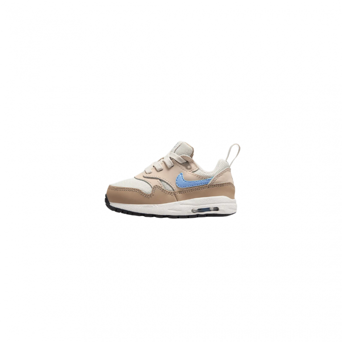 AIR MAX 1 EASYON BT DZ3309-010 [2]