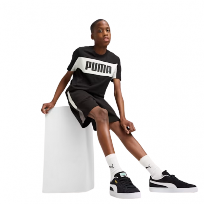ESS BLOCK Shorts TR B PUMA Black 685821-01 [3]