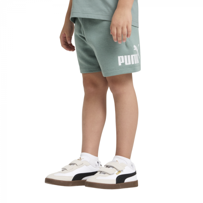 ESS No. 1 Logo Shorts TR PS Green Moon 684935-30 [2]
