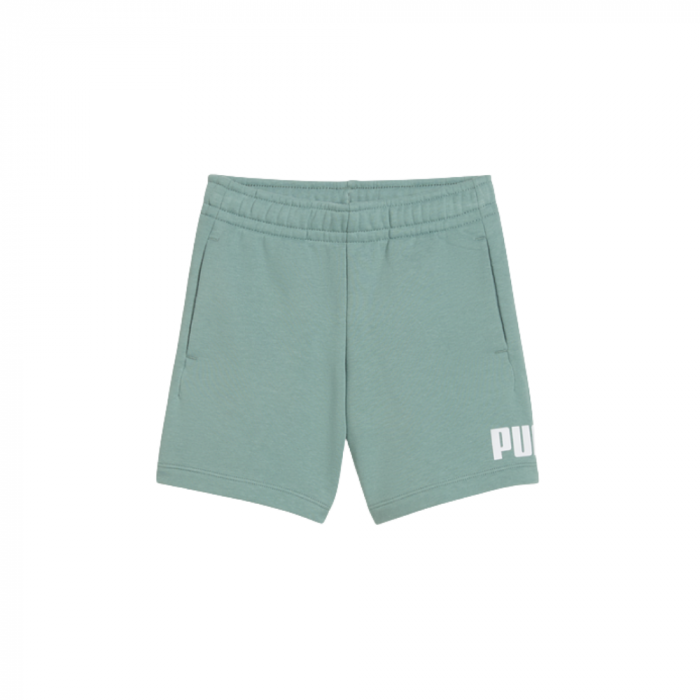 ESS No. 1 Logo Shorts TR PS Green Moon 684935-30 [1]