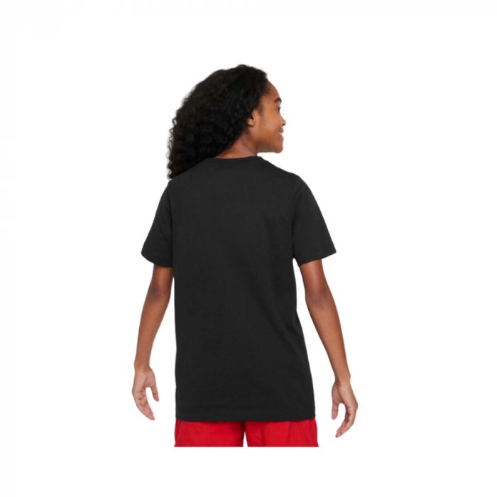 FN9667-010-L [3]