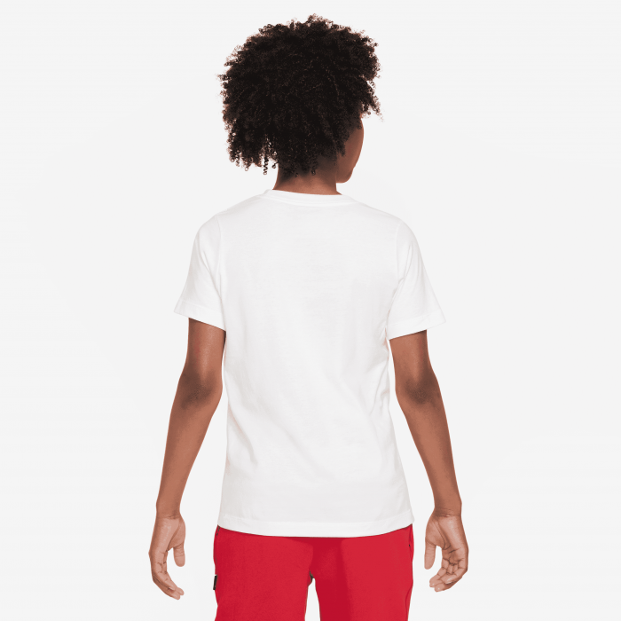 FV4078-100-XL [2]