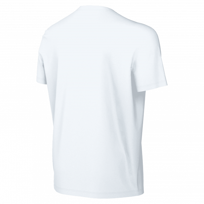 FV4078-100-XL [6]