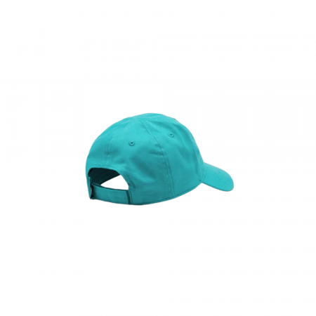 NAN FUTURA CURVE BRIM CAP 8A2902-BA2 [1]