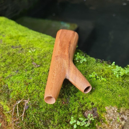 Standing Kuripe Jati [2]