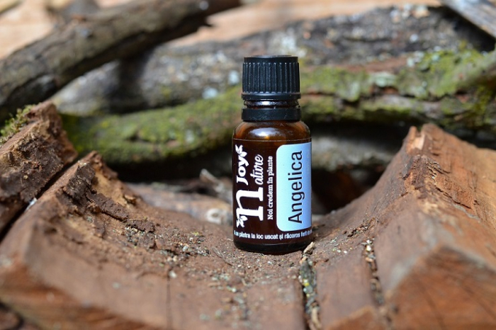 Ulei Esential Angelica Rădăcină, Angelica Root 15ml [3]