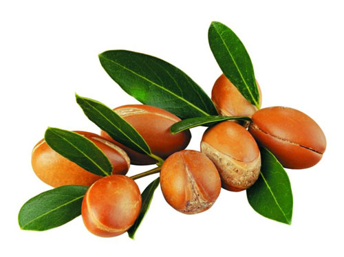 Ulei Purtător Argan Nerafinat, 100ml [2]