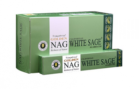 Vijayshree - White Sage