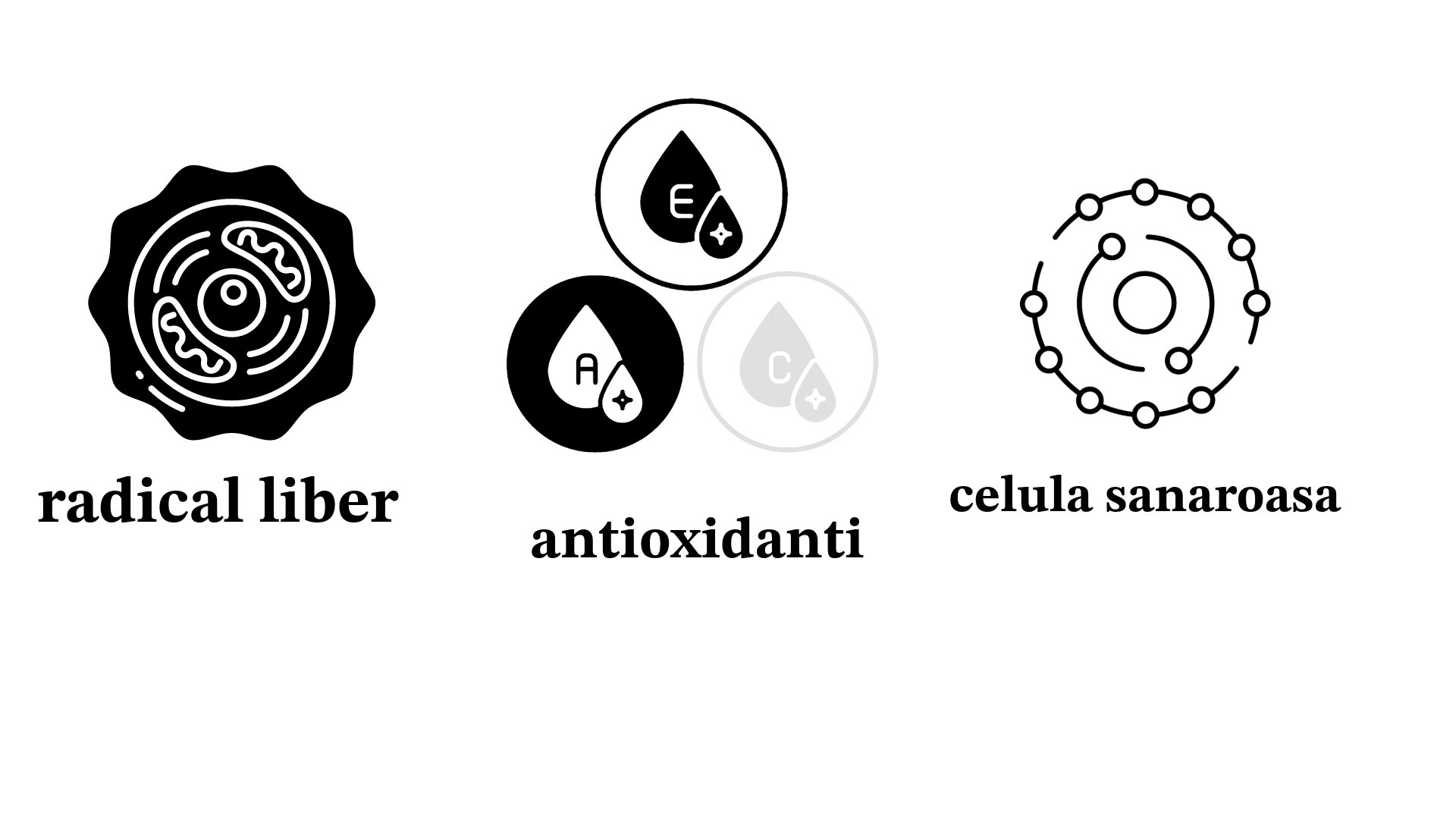 Antioxidantii, ce sunt,cine sunt și la ce ajută?Tu știai că aronia este fructul cu cea mai mare cantitate de antioxidanti?