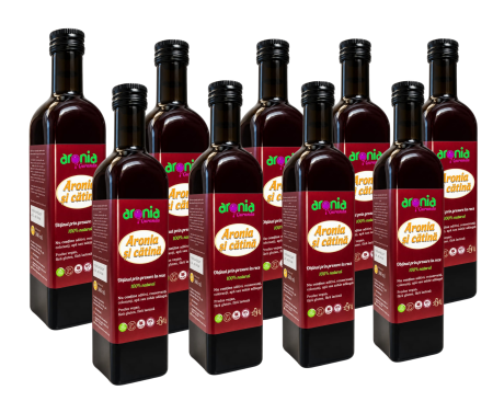Produse - pachet-9-sticle-suc-aronia-si-catina-4.5-litri-100-natural