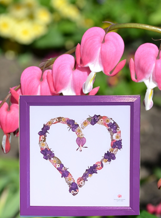 Tablouri cu flori presate - "Bleeding Heart" N*1 / Tablou cu flori presate
