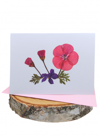 FELICITARI CU FLORI NATURALE PRESATE - Felicitare flori presate