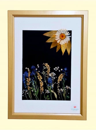 Tablouri cu flori presate - Gratia sulfinei