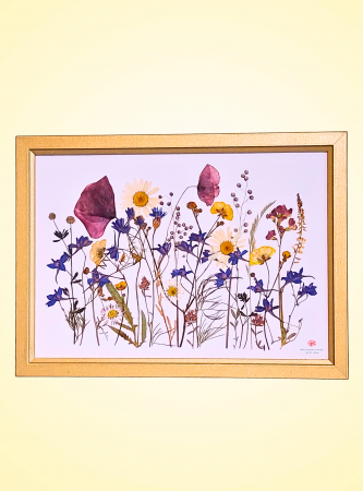 "Simfonia florilor de camp" N*1 / Tablou cu flori presate