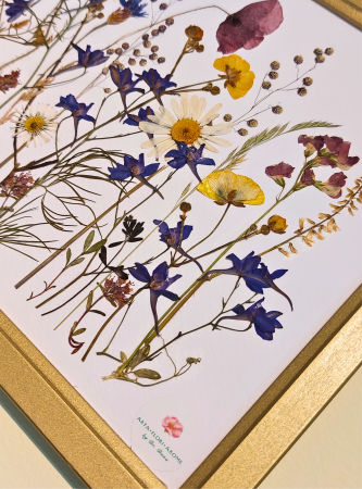 "Simfonia florilor de camp" N*1 / Tablou cu flori presate [1]