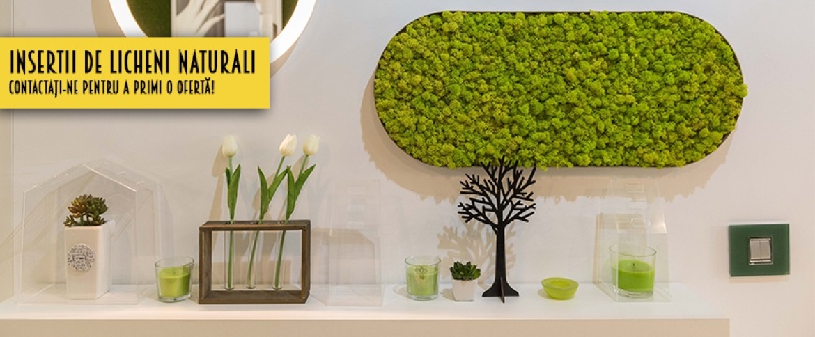 INSERTII LICHENI