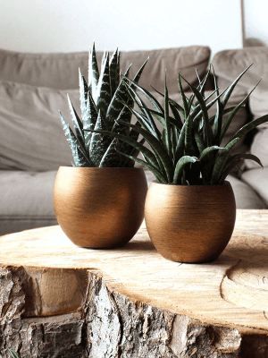 Ghiveci CAPI Lux Retro 18 x 15 [2]