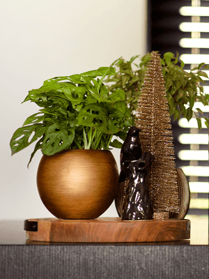 Ghiveci CAPI Lux Retro 18 x 15 [4]