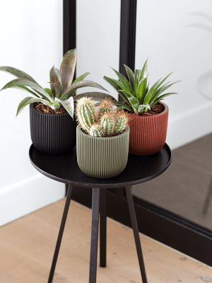 Ghiveci CAPI Nature Groove Special 14 x 13 [2]