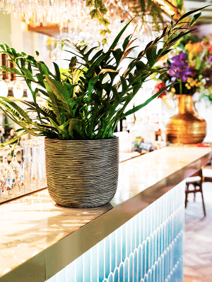 Ghiveci CAPI Nature Rib 17 x 15 [2]