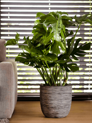 Ghiveci CAPI Nature Rib NL 35 x 34 [2]