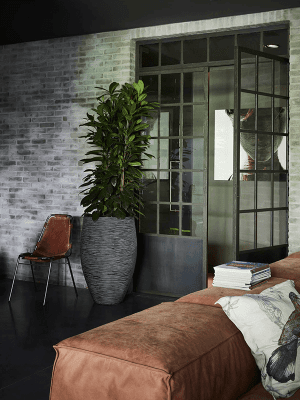 Ghiveci CAPI Nature Rib NL 51 x 72 [3]