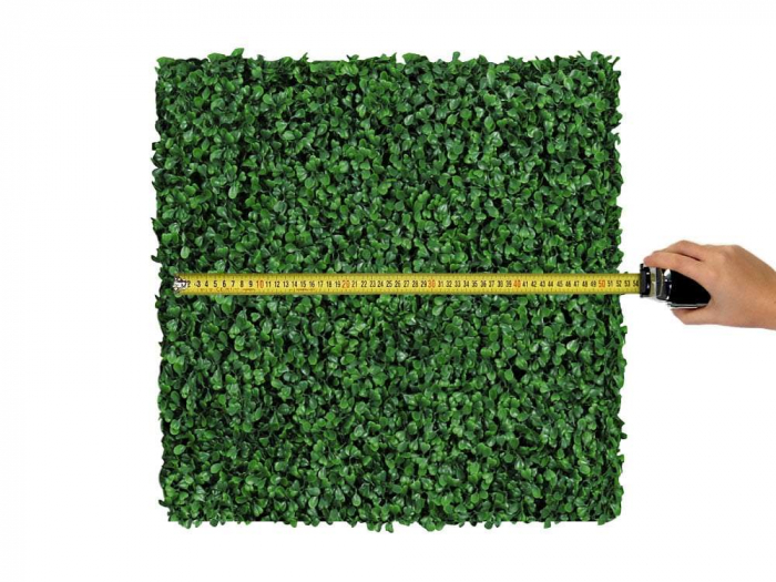 Buxus - rezistență la foc clasa C [4]