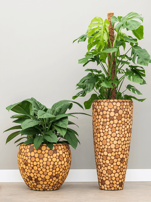 Ghiveci FACETS Ageless (cu liner) 42 x 37 [2]