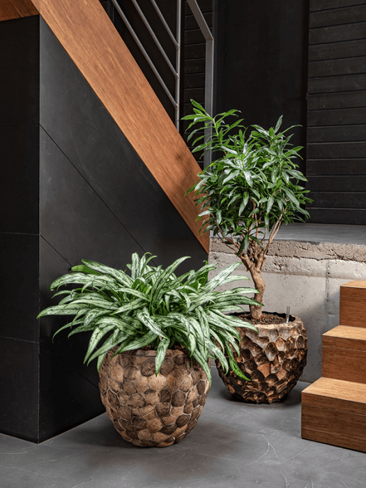 Ghiveci FACETS Into Coco (cu liner) 50 x 45 [2]