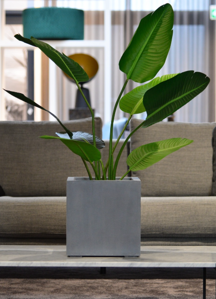 Ghiveci ARGENTO Cube 40 [2]