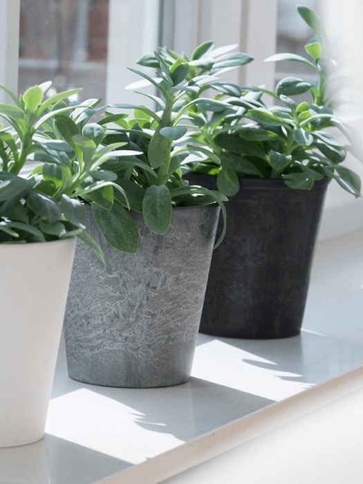 Ghiveci ARTSTONE Claire 17/15 cm, gri [2]