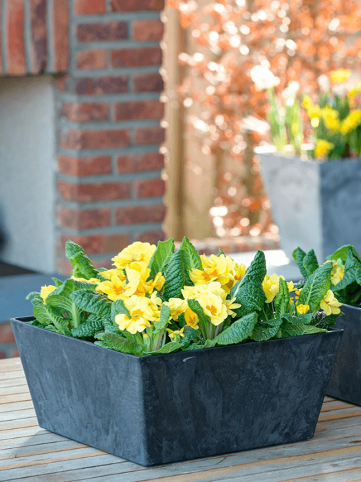 Ghiveci ARTSTONE Ella 30/14 cm, negru [2]