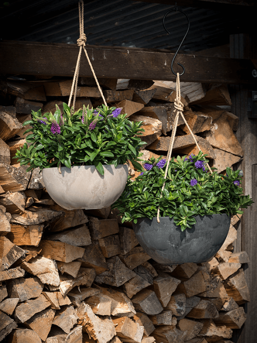 Ghiveci ARTSTONE Fiona 31/15 cm, negru [2]