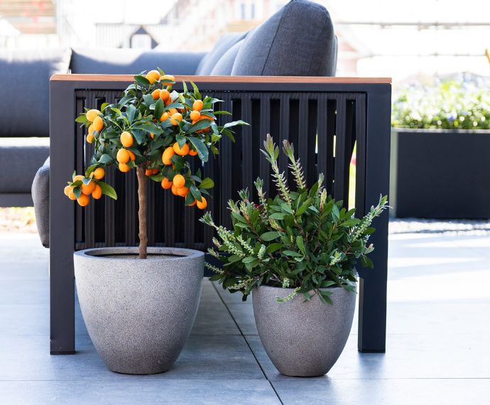 Ghiveci GRIGIO Egg Pot 40 [2]