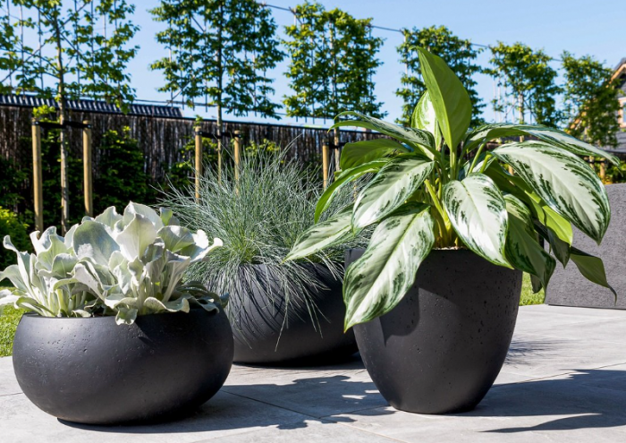 Ghiveci GRIGIO Egg Pot 40 [3]