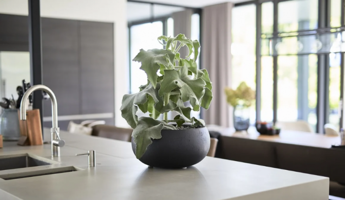 Ghiveci GRIGIO Low Balloon 40 [3]