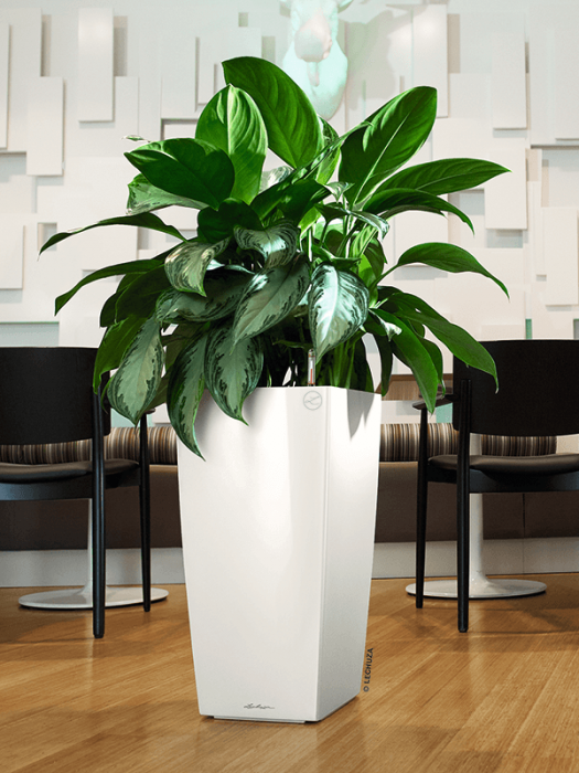 Ghiveci LECHUZA Cubico Alb 40 x 40 / 75 [2]