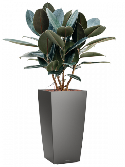 Ghiveci LECHUZA Premium Cubico Antracit 30 x 30 x 56 [4]