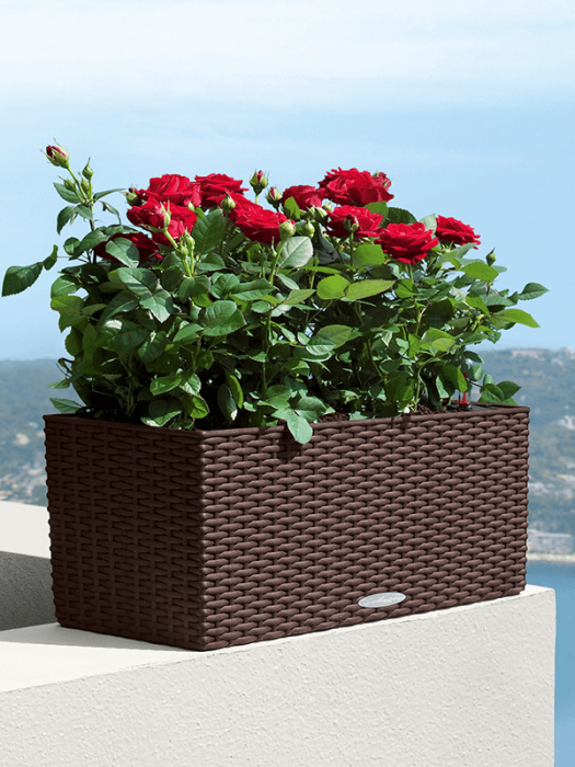 Ghiveci LECHUZA Balconera Cottage Mocha 50 x 19 / 19 [3]