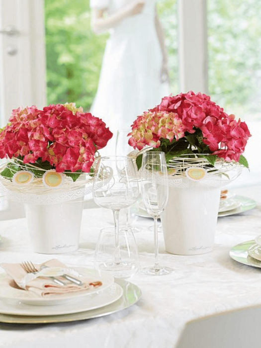 Ghiveci LECHUZA Premium Mini-Deltini Alb 10 x 13 [3]