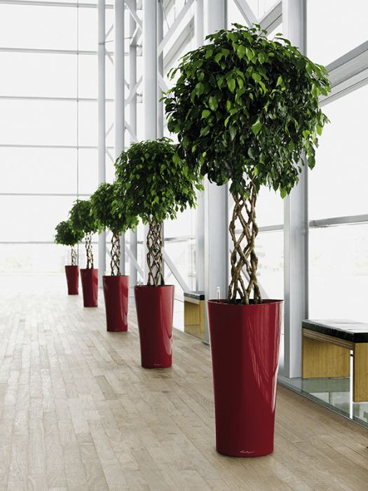 Ghiveci LECHUZA Premium Delta Roșu 30 x 56 [3]